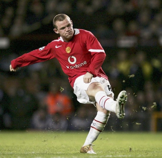 提供动态数 提供动态数